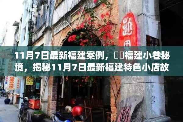 福建小巷秘境,揭秘最新特色小店故事(11月7日专刊)