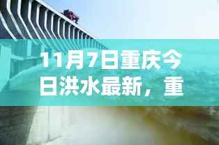 重庆洪水现状下的反思与观点探讨,11月7日最新洪水资讯