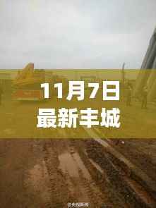 丰城市人事任免动态,新任领导力量揭晓(11月7日更新)