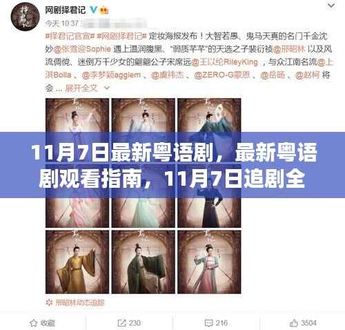 11月7日粤语剧全攻略,观看指南与初学者进阶指南