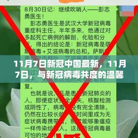 11月7日与新冠病毒共度的温馨日常,最新中国疫情动态