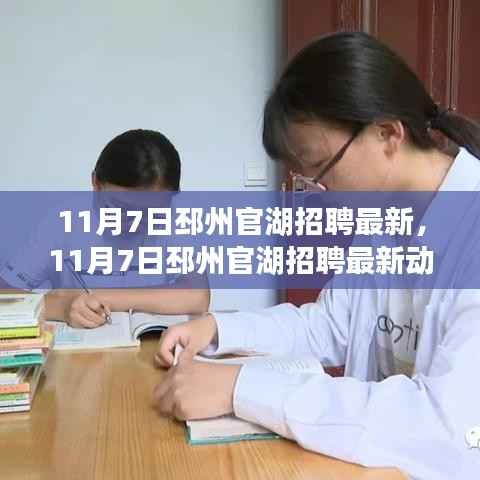 11月7日邳州官湖最新招聘动态,职场人的优选之地