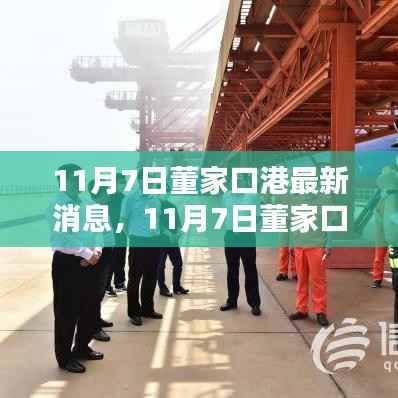 11月7日董家口港最新消息,全面理解与操作指南