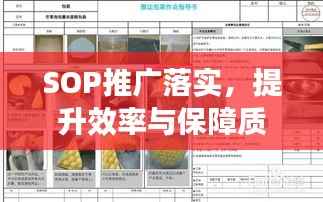 SOP推广落实,提升效率与保障质量的实战指南