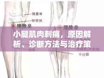 小腿肌肉刺痛,原因解析、诊断方法与治疗策略