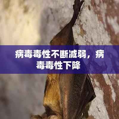 慌慌张张 第3页