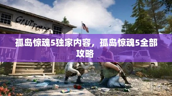 孤岛惊魂5独家内容,孤岛惊魂5全部攻略