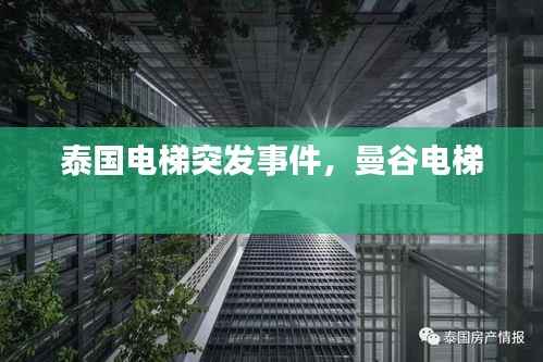 张口结舌 第3页