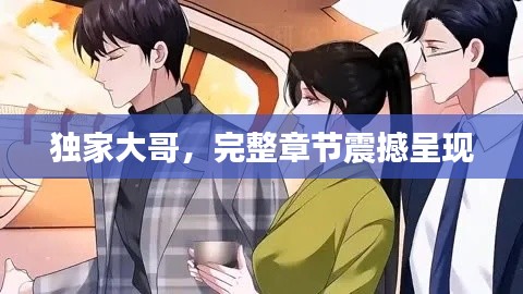 独家大哥,完整章节震撼呈现