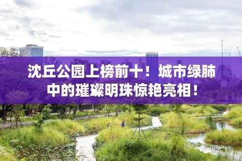 沈丘公园上榜前十!城市绿肺中的璀璨明珠惊艳亮相!