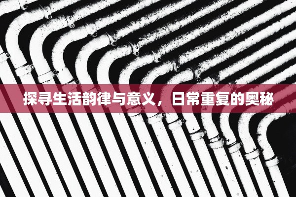 探寻生活韵律与意义,日常重复的奥秘