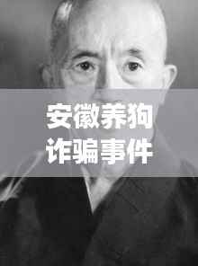 安徽养狗诈骗事件内幕揭秘，最新动态与进展