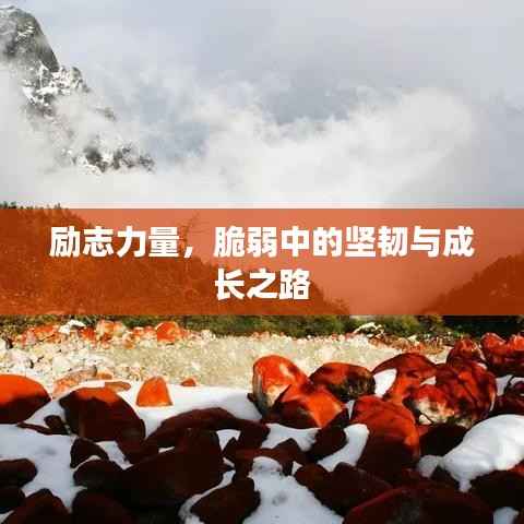 励志力量,脆弱中的坚韧与成长之路