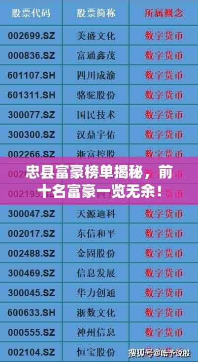 忠县富豪榜单揭秘，前十名富豪一览无余！