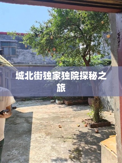 城北街独家独院探秘之旅