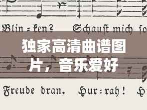 独家高清曲谱图片,音乐爱好者的收藏之选