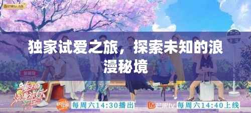 独家试爱之旅，探索未知的浪漫秘境