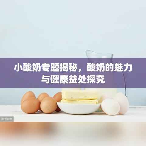 小酸奶专题揭秘,酸奶的魅力与健康益处探究